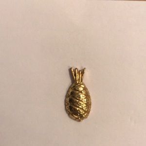 Pineapple 🍍 pin